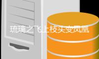 琉璃之飞上枝头变