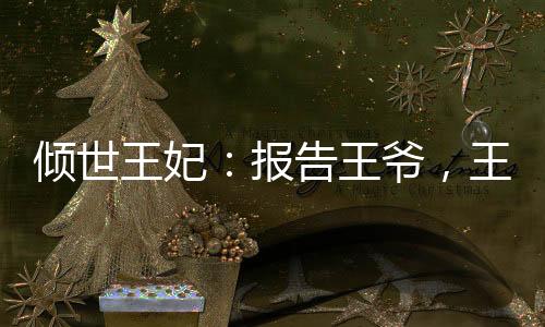 倾世王妃：报告王爷，王妃不好惹