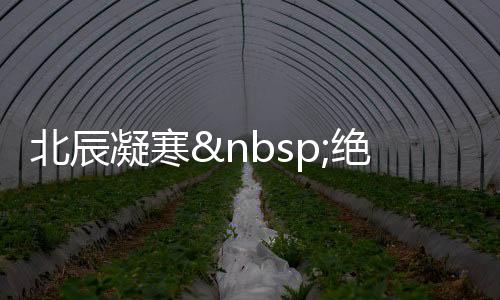 北辰凝寒 绝代风华