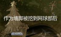 作为墙脚被挖到网