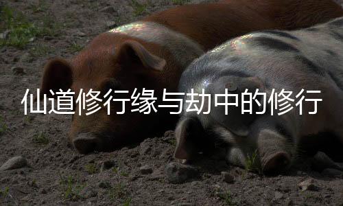 《宋檀记事》全文在线阅读