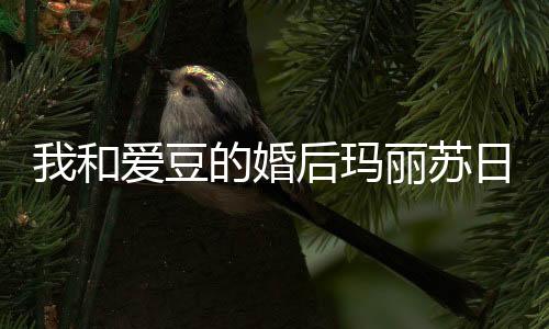 《快穿世界吃瓜第一线》全文在线阅读