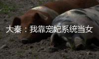 大秦：我靠宠妃系