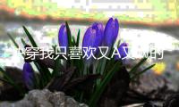 快穿我只喜欢又A