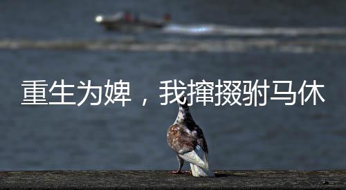重生为婢，我撺掇驸马休了公主