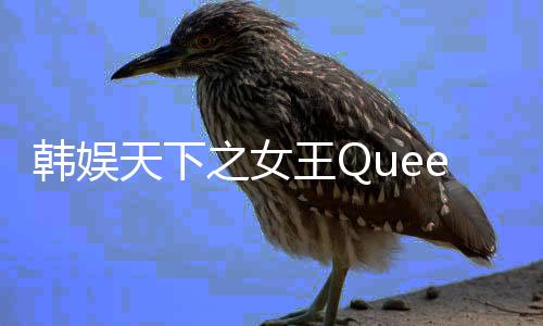 《夫人你马甲又掉了》全文在线阅读