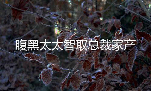 腹黑太太智取总裁家产