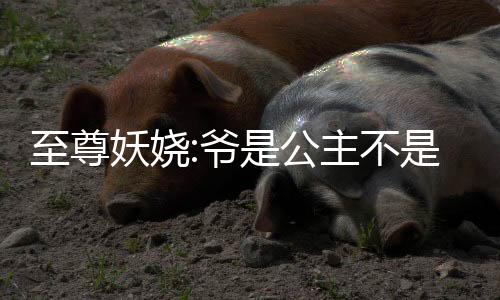 《重生年代大院娇媳美又飒》全文在线阅读